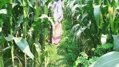 கிராமத்து பாச தேவிதிய ஆஂடீ ஃபார்ம் ொசெழில் ஊழ் அடிக்கிறாள்